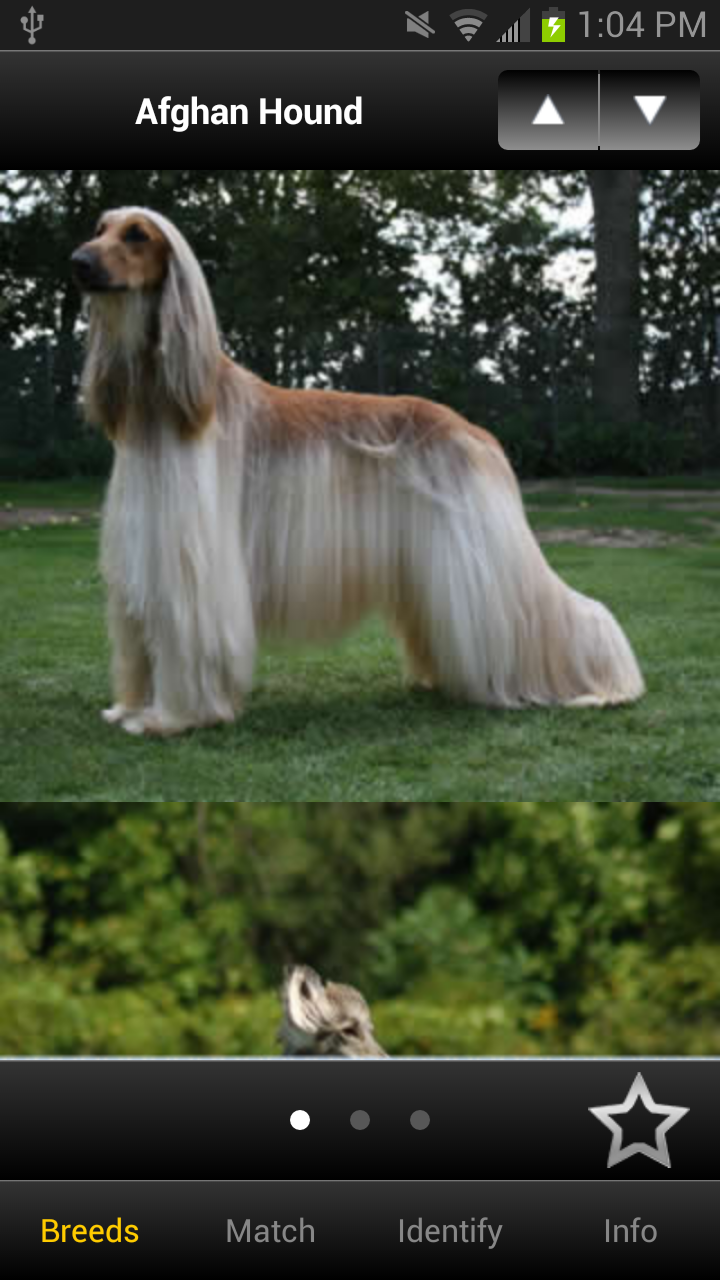 Perfect Dog Pro Screen 2