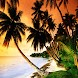 3D sunset and Palm