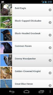 How to mod Kootenay Birds lastet apk for bluestacks