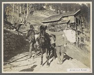 Vermoedelijk Italiaanse militairen bij een muildier: ambulance in de bergen