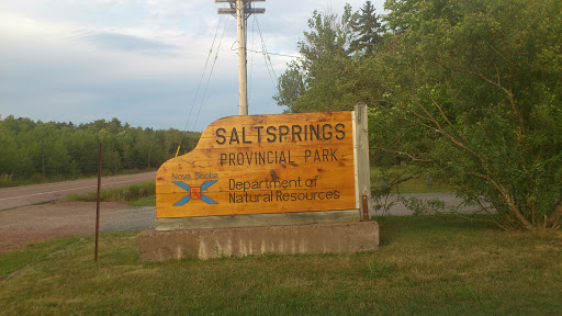 Salt Springs Prov. Park