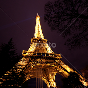 Eiffel tower by Cyprien Conier - Buildings & Architecture Public & Historical