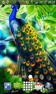 How to install Beautiful Peacock Live Wallpap 27 unlimited apk for laptop