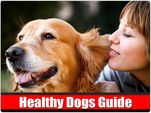 Healthy Dogs Guide Free