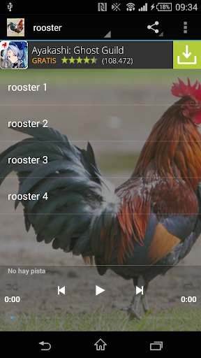 Rooster sounds free