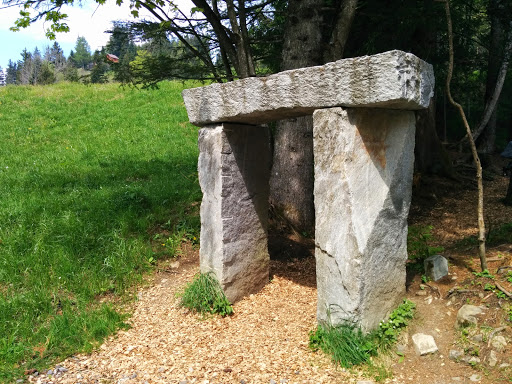 Old Druid Stone Gate