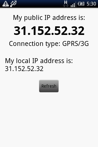 My IP address - screenshot