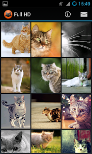 How to download Cats Wallpaper Full HD 1.1 unlimited apk for bluestacks