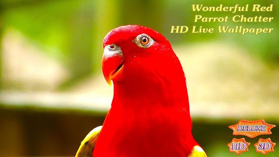 How to download Wonderful Red Parrots Chatter patch 1.4.5 apk for pc