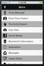 Starworld Martial Arts by Helix Mobile Marketing poster 9