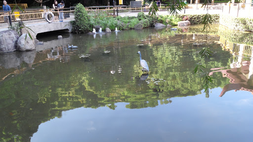 Bird in a Lake Sculpture