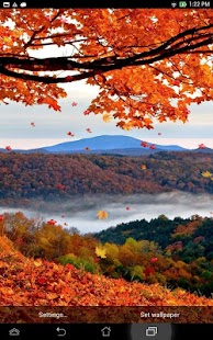 Download Falling Leaves Live Wallpaper APK