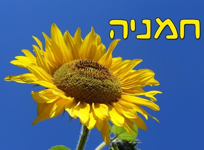 Lastest Nature pictures - Free Version APK