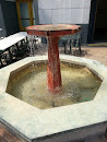 Bubbling Fountain