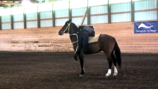 【免費運動App】Hybrid Horsemanship Mobile-APP點子