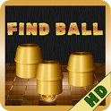 Find The Ball icon