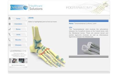   Foot Anatomy- screenshot thumbnail   