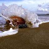 by Sengkiu Pasaribu -  