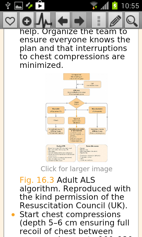 Anaesthesia for Emergency Care Screen 3