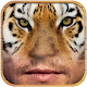 Animal FaceMix APK