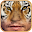 Animal FaceMix Download on Windows