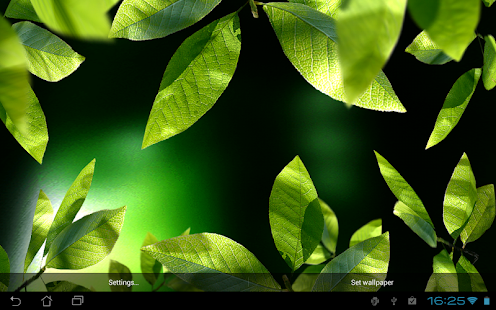 Fresh Leaves - screenshot thumbnail