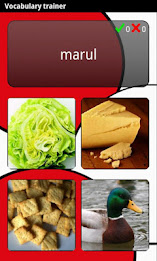 Learn Turkish Deluxe poster 1