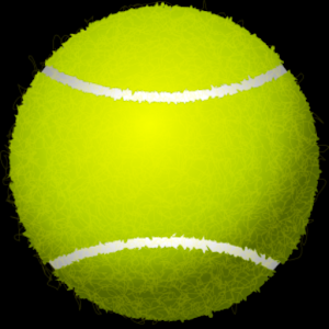 TheSmartTennis logo