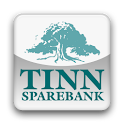 Tinn Spb logo