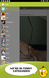 Cute Animals Photos Wallpapers Screenshots 3