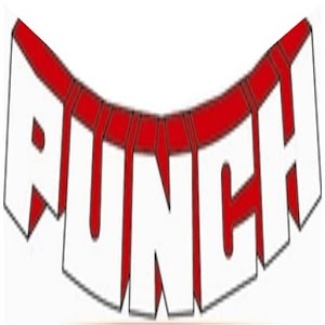 Punch Newspaper Nigeria 244448
