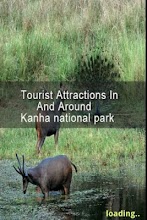 Kanha National Park APK Download for Android