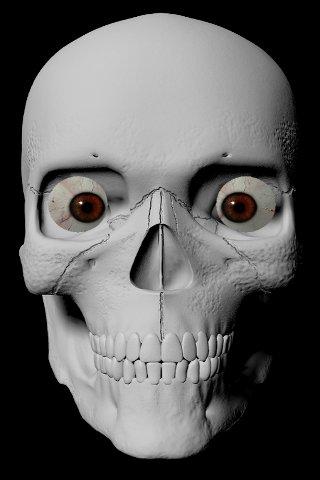 StareDCat Skele Screen 3