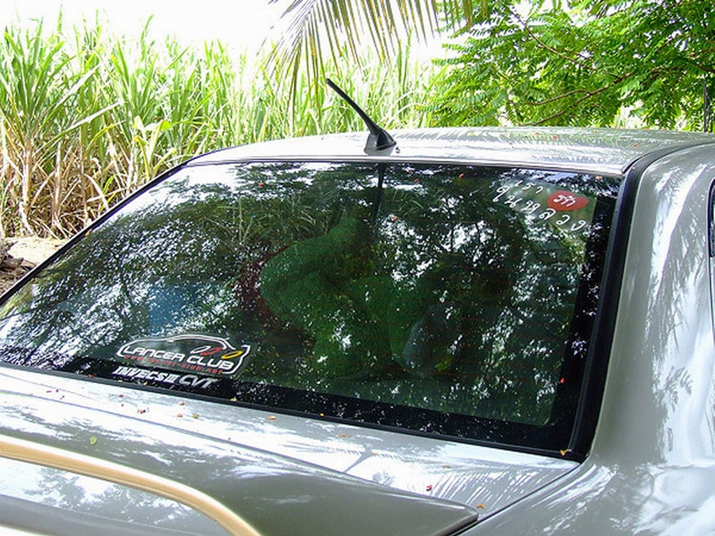 [Ê Ï i"-02[2].jpg]