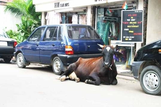 [TrueIndia009[1].jpg]