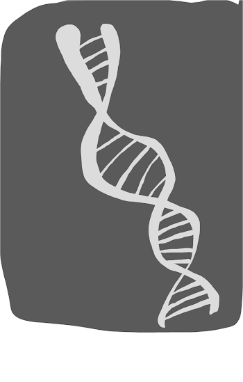 Dna