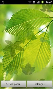 Download Green Leaves Live Wallpaper APK for Android