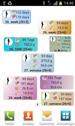 Pregnancy watcher widget