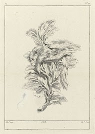 Ornament met dode duif op een tak