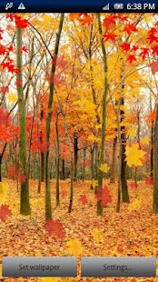 How to install Maple Leaf Live Wallpaper 4.0 apk for bluestacks