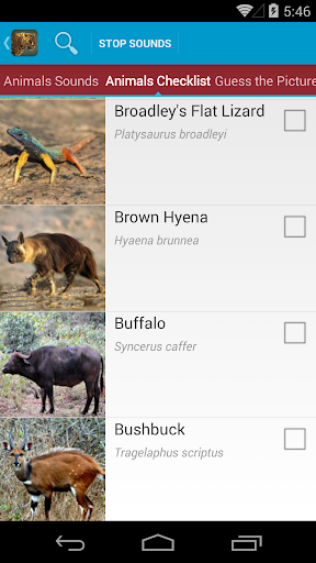 【免費教育App】Safari Animal Sounds and List-APP點子