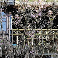 卓也小屋 三義渡假園區