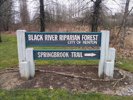 Black River Forest / Springbrook Trail