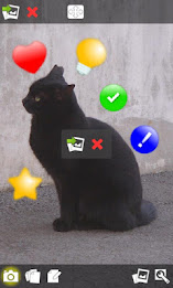 Decoration photo collage poster 1