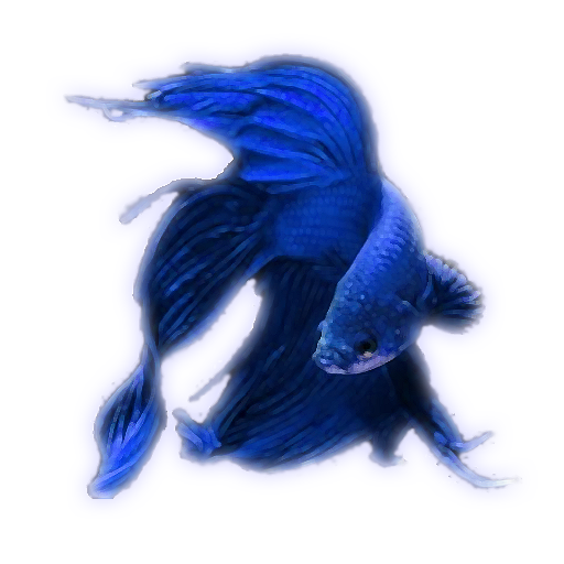 BetaFish2 LOGO-APP點子