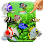 Fishes in water And Ocean Apk