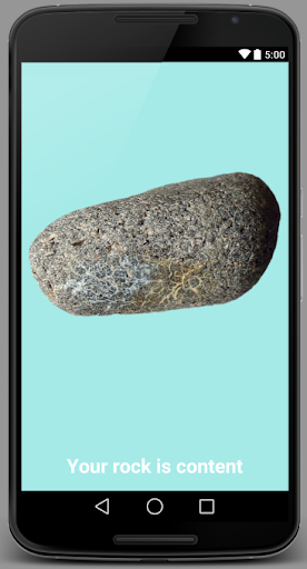 Pet Rock Realistic