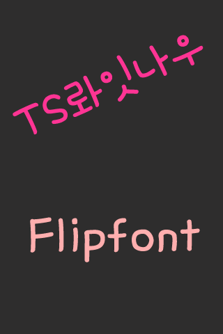 TS롸잇나우 ™ 한국어 Flipfont