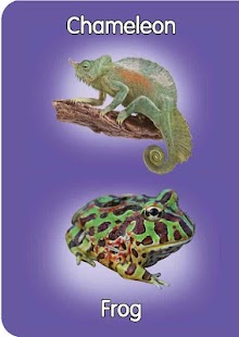 Reptiles&Amphibians pre-school Screenshots 1