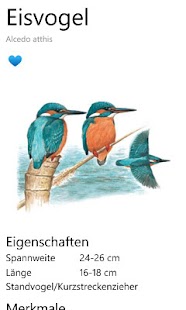 NABU Vogelführer Screenshots 6